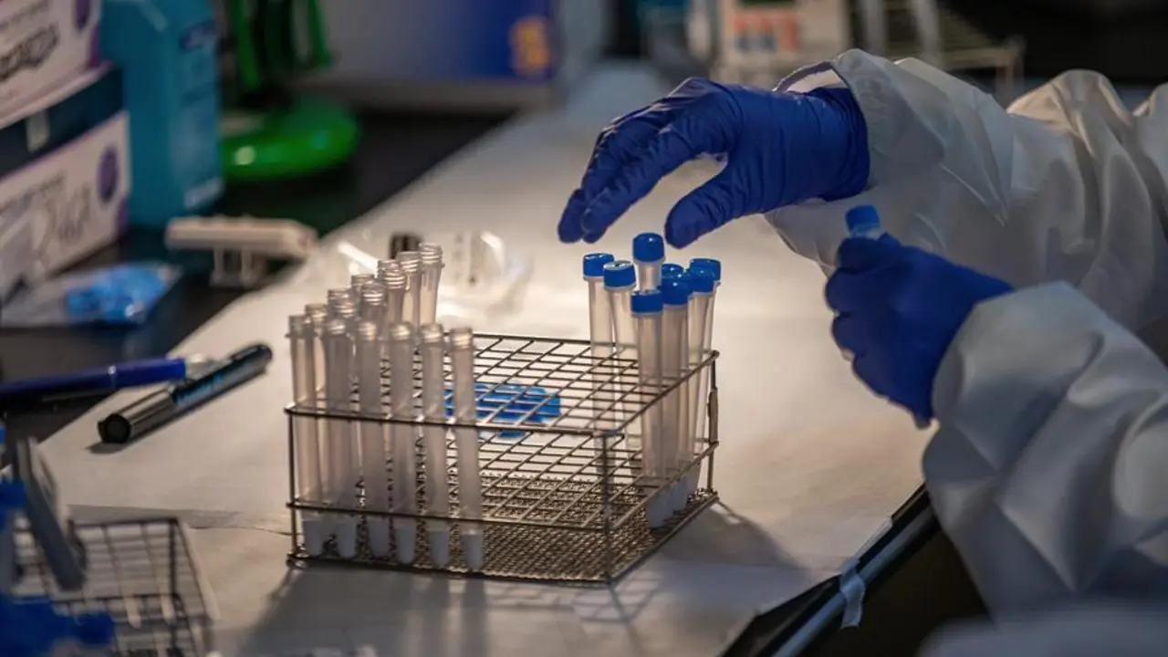 Vacunas del coronavirus. - EFE