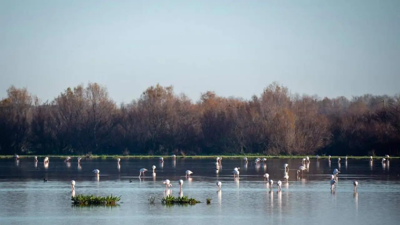 Inauguraci&oacute;n de triple exposici&oacute;n los '&Aacute;rboles Singulares de Huelva' - OCIB
