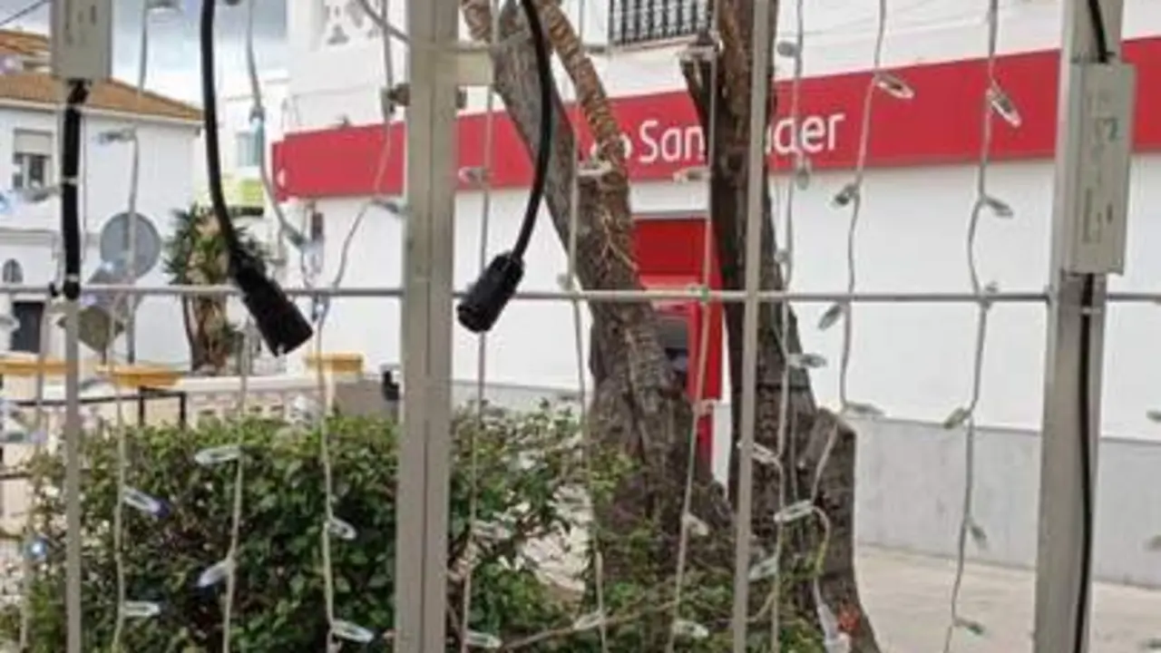 Los actos vand&aacute;licos cometidos - A.I.
