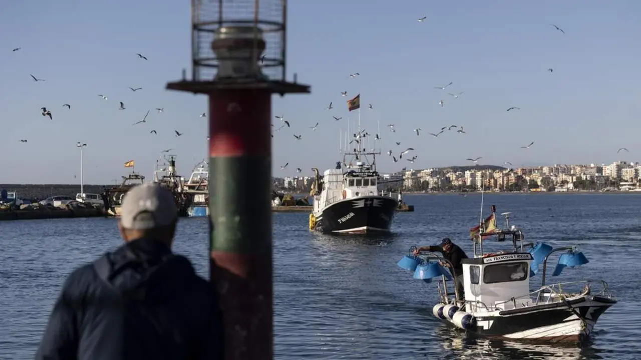 Barcos amarrados en Caleta de V&eacute;lez.. - Daniel P&eacute;rez/EFE