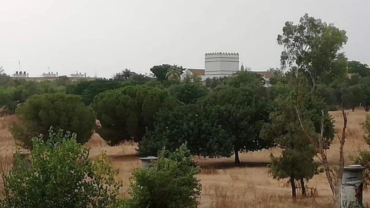 Finca del Cortijo del Cuarto, junto al barrio de Bellavista. - ep