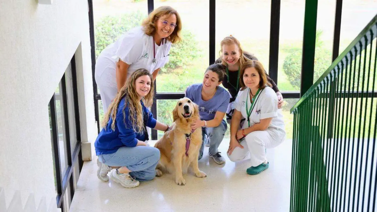 Los y las protagonistas de la terapia perruna. - Junta Andaluc&iacute;a