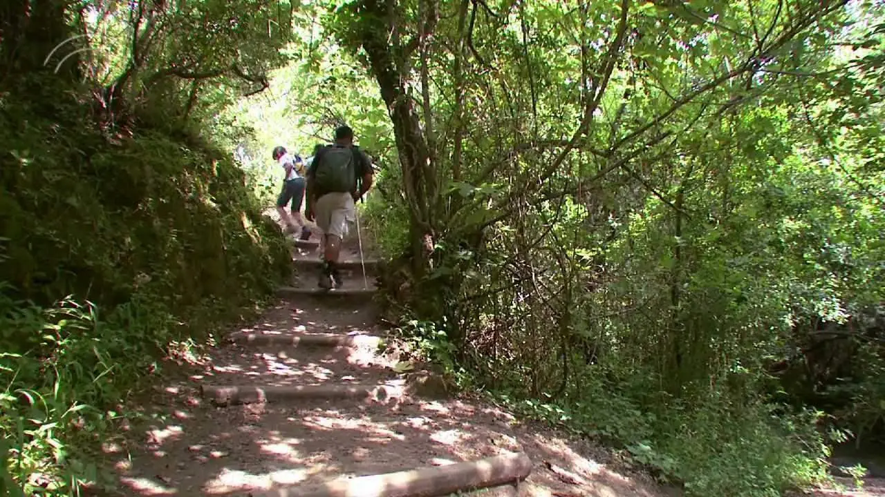 Ruta de senderismo por la sierra de Grazalema - Ventana Abierta a la Familia