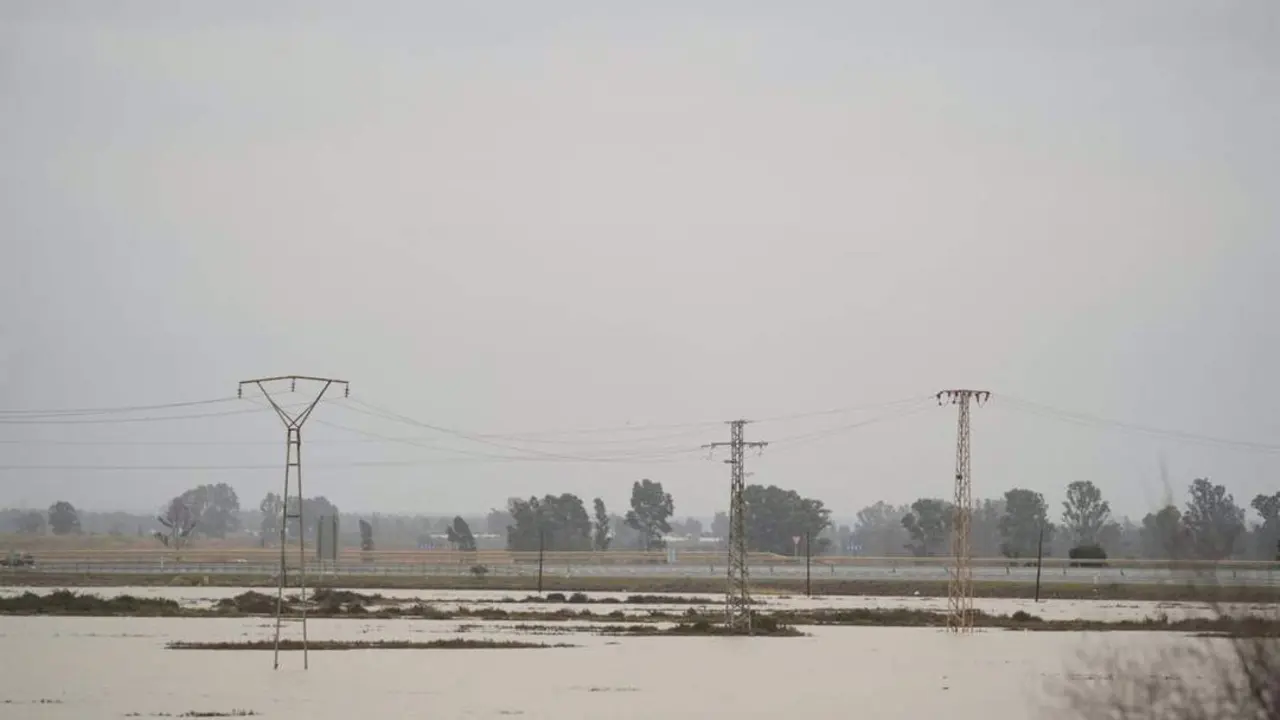 Zona inundada en el entorno de Moguer - FRANCISCO J.OLMO