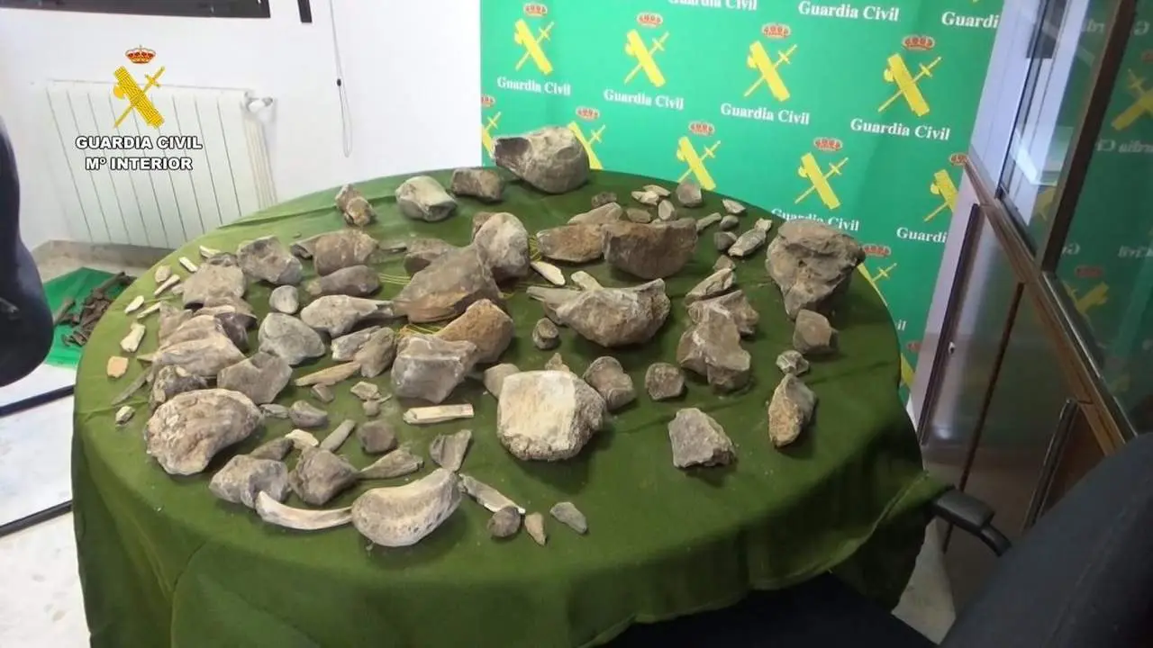 La Guardia Civil recupera m&aacute;s de 100 restos de mamuts expoliados - Guardia Civil