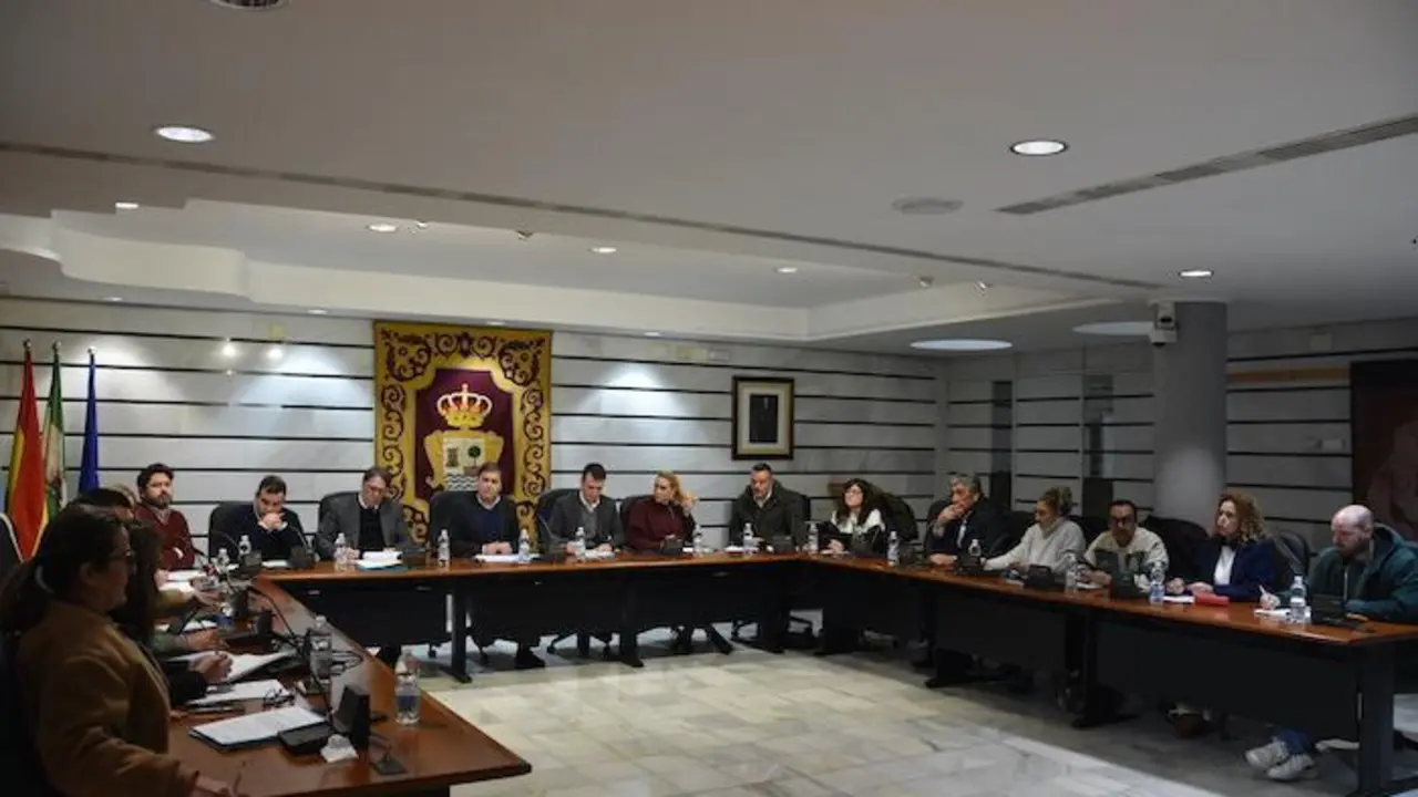 Pleno municipal de Punta Umbr&iacute;a, enero 2025 - A.P.U.