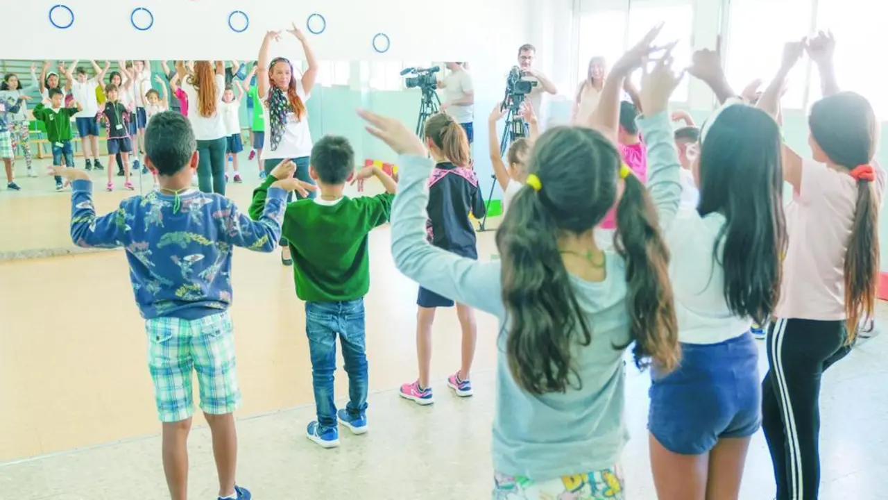 El gimnasio del CEIP Adolfo de Castro. - Viva