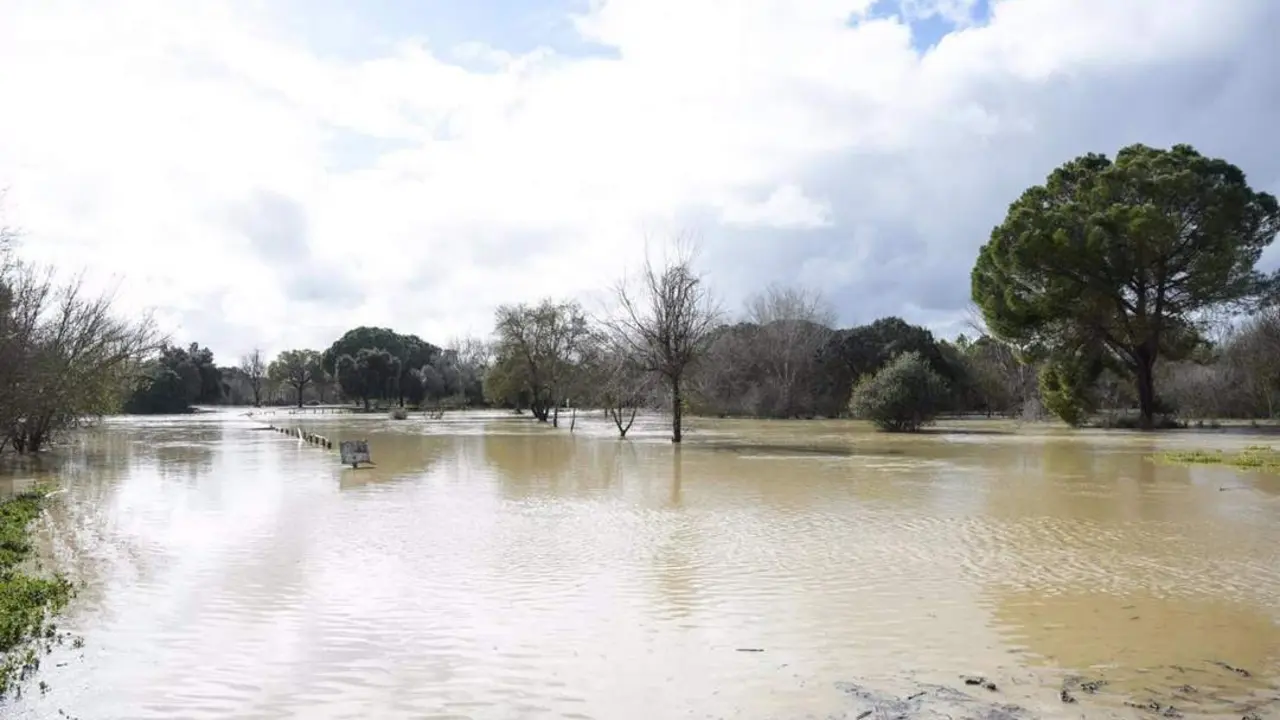 Im&aacute;genes del Vado del Quema inundado, a 23 de enero de 2025 en Sevilla - Joaqu&iacute;n Corchero - EP-