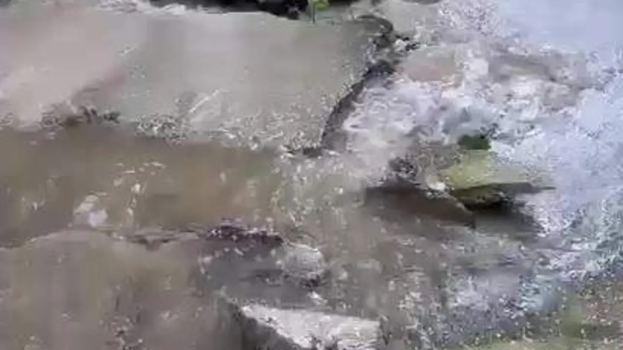"La Cuesta de la Barca lleva meses vertiendo aguas fecales y residuales al monte"