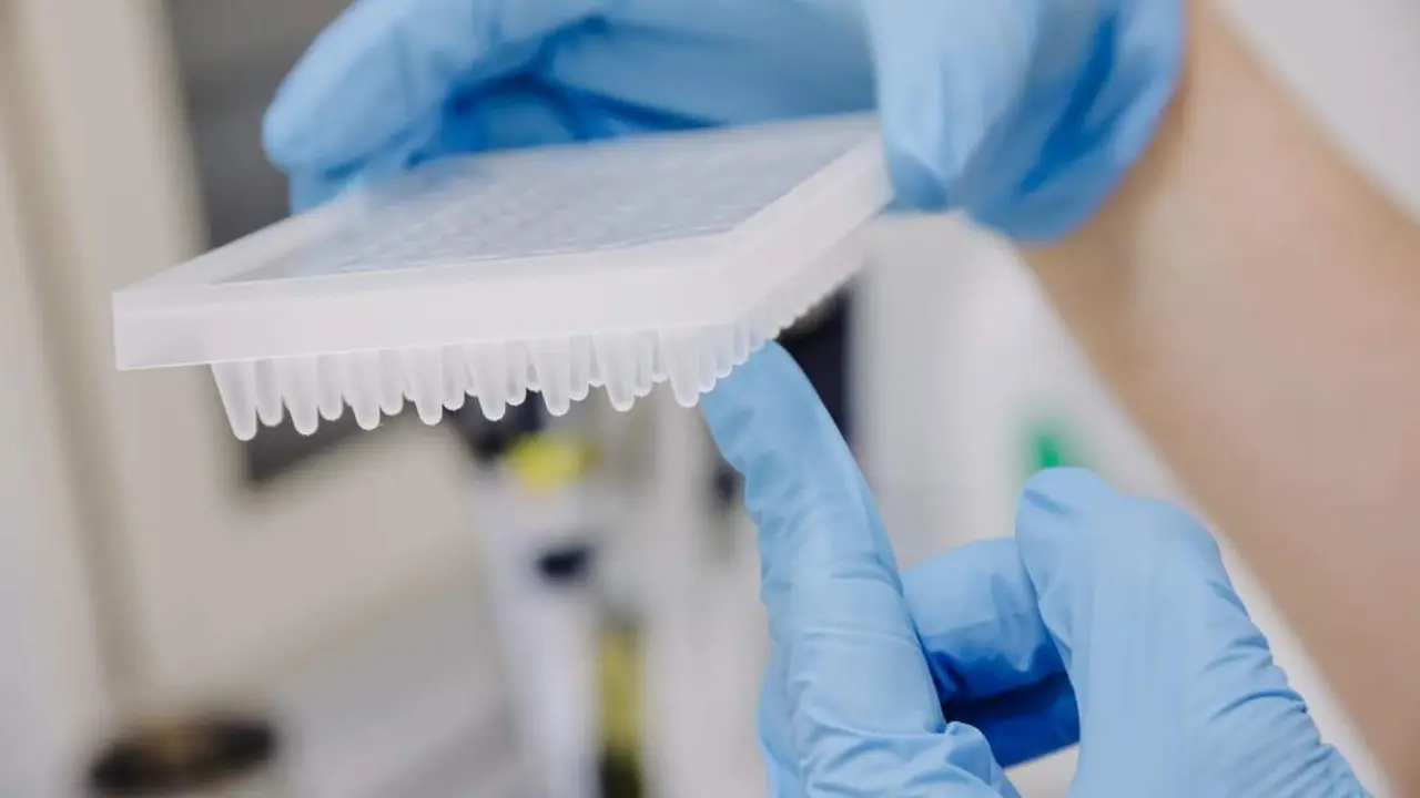 Laboratorio. | Europa Press.