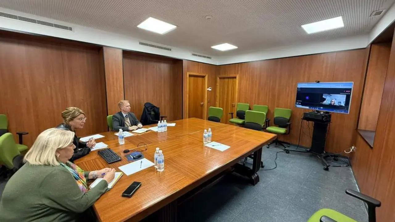 Reuni&oacute;n telem&aacute;tica entre la alcaldesa y la consejera. - VH