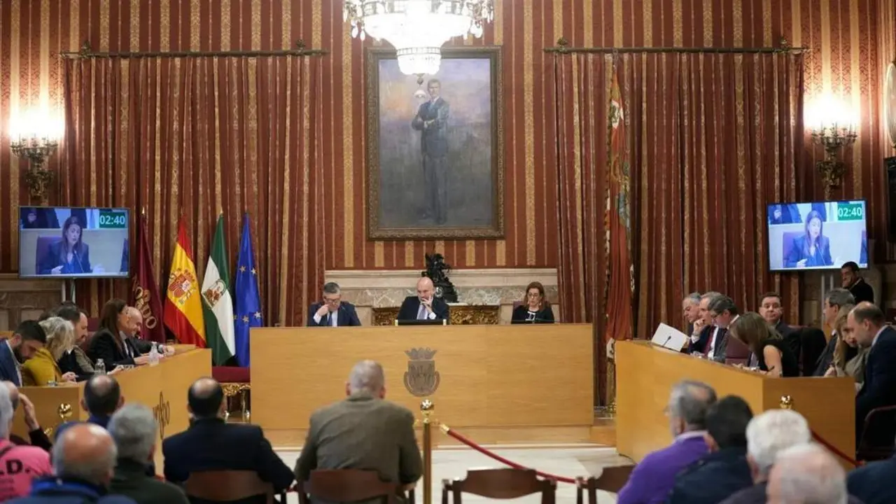 Pleno ordinario del d&iacute;a de hoy - MAR&Iacute;A JOS&Eacute; L&Oacute;PEZ | EUROPA PRESS