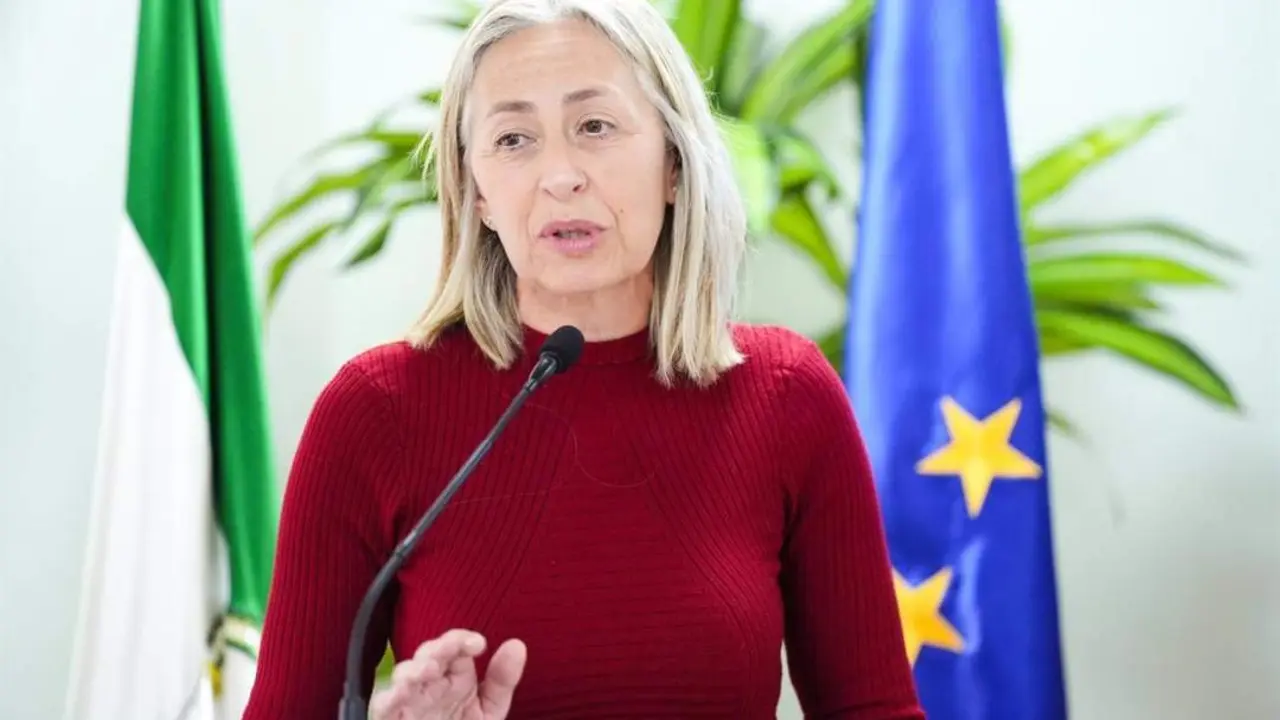 La consejera de Salud y Consumo, Roc&iacute;o Hern&aacute;ndez. - MAR&Iacute;A JOS&Eacute; L&Oacute;PEZ - EUROPA PRESS 