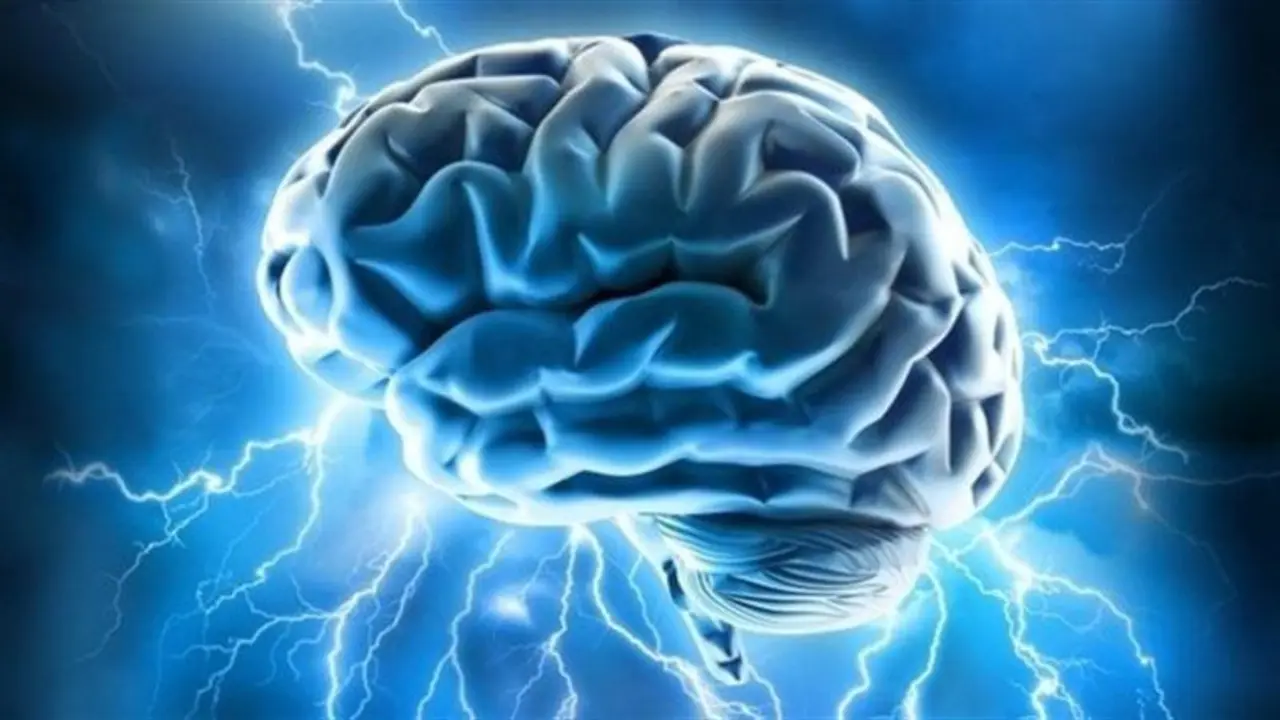 Un cerebro - E.P.
