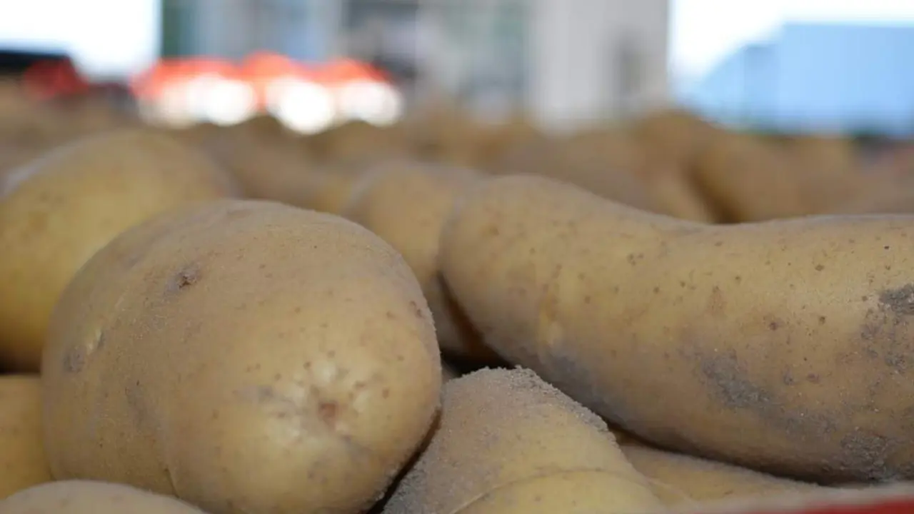 Patatas. - C. Cruz