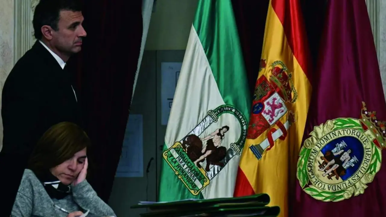 El alcalde, Bruno Garc&iacute;a, en el Pleno. - VIVA