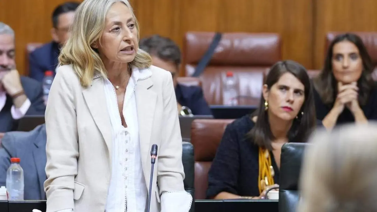 La consejera de Salud y Consumo, Roc&iacute;o Hern&aacute;ndez. - E. P.