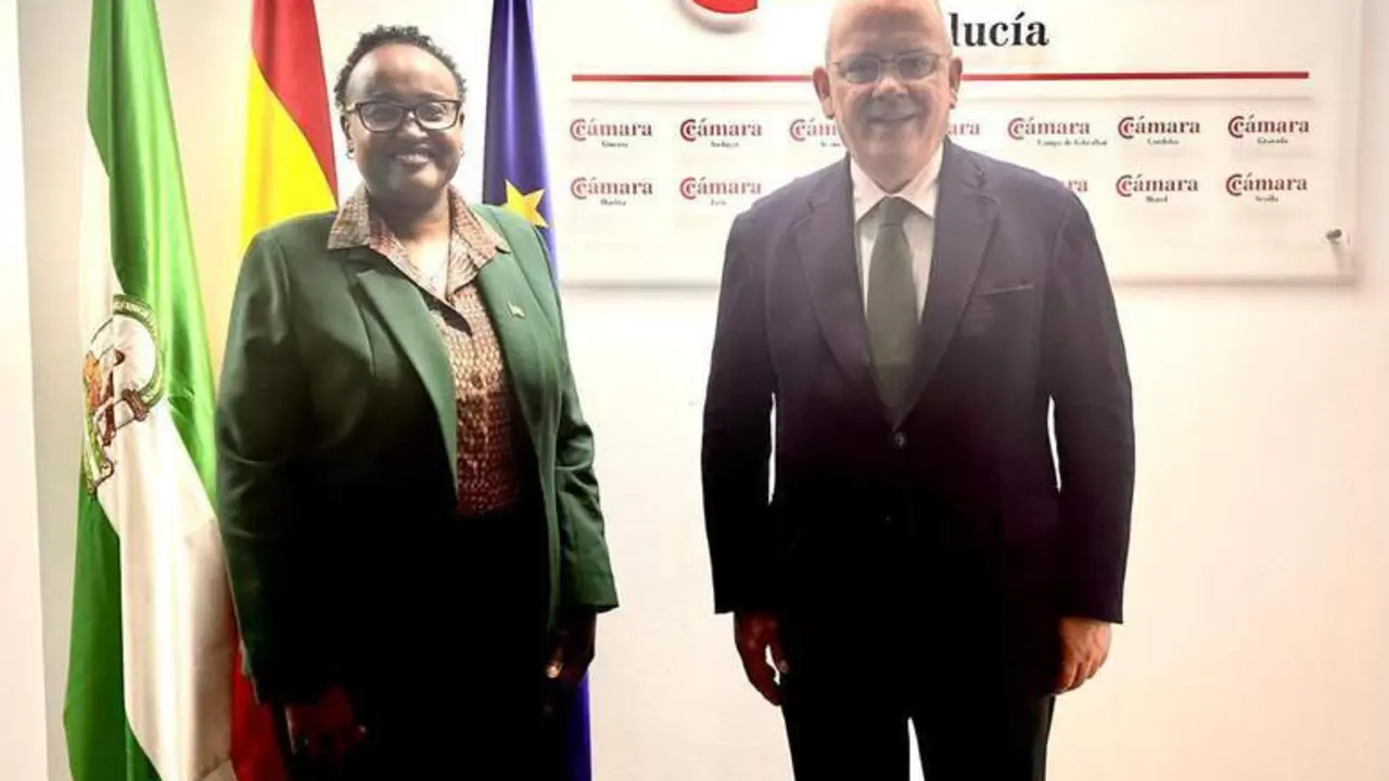 Nairimas OleSein y Javier S&aacute;nchez Rojas. - Viva Sevilla.