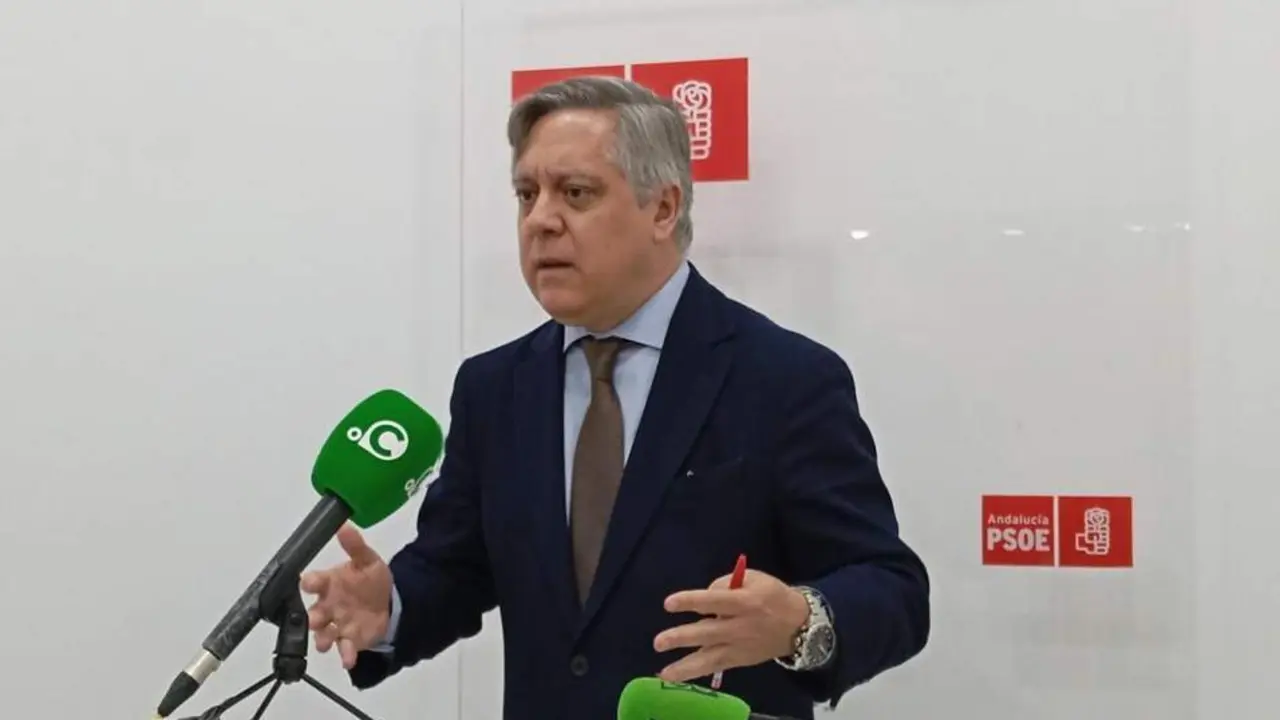 El portavoz municipal del PSOE, &Oacute;scar Torres. - VIVA