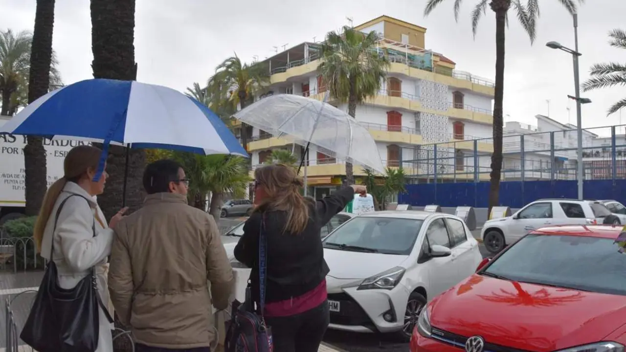 Revisi&oacute;n de las palmeras de avd. Andaluc&iacute;a de Punta por temporal - A.P.U.