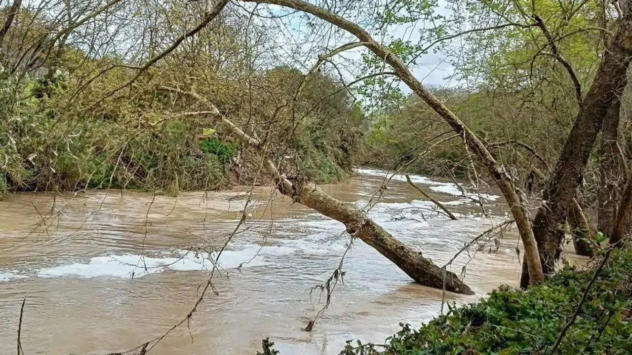 El r&iacute;o Guada&iacute;ra a su paso por Alcal&aacute; - AYTO ALCAL&Aacute;