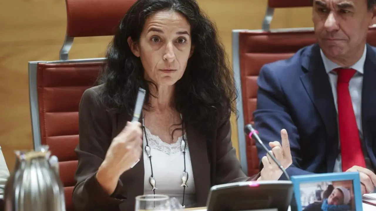 Patricia Ram&iacute;rez, la madre de Gabriel Cruz. - EFE