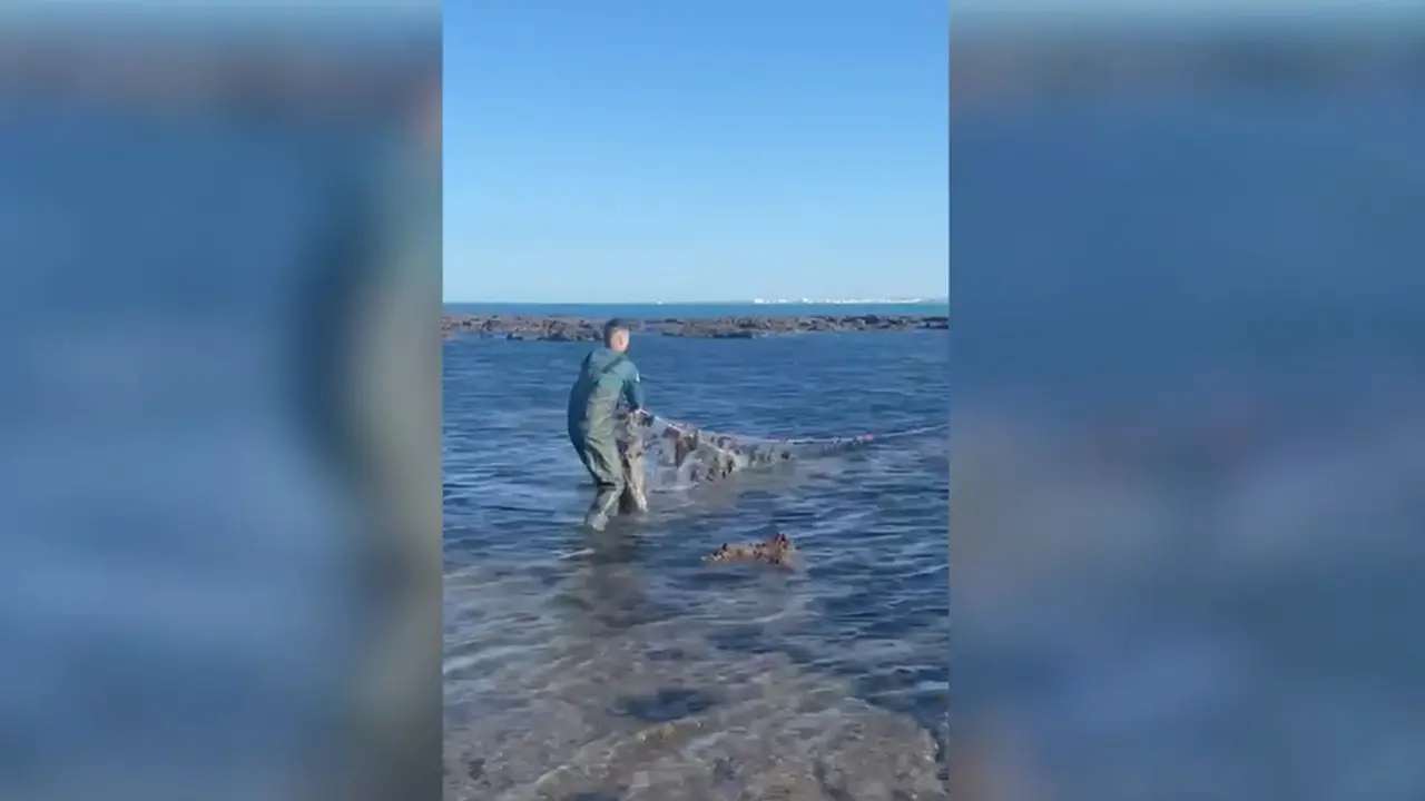 El Seprona retira un trasmallo de unos 50 metros de aguas de la Caleta