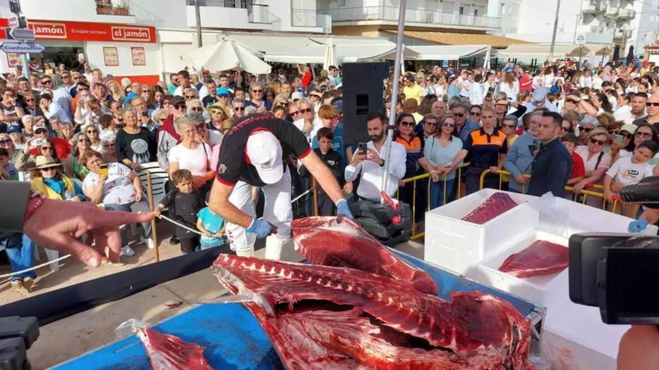 Ronqueo de at&uacute;n rojo. - 