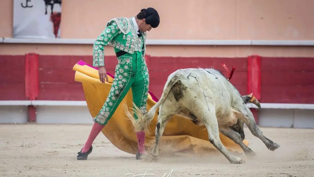 Gran actuaci&oacute;n.  - Justine M.