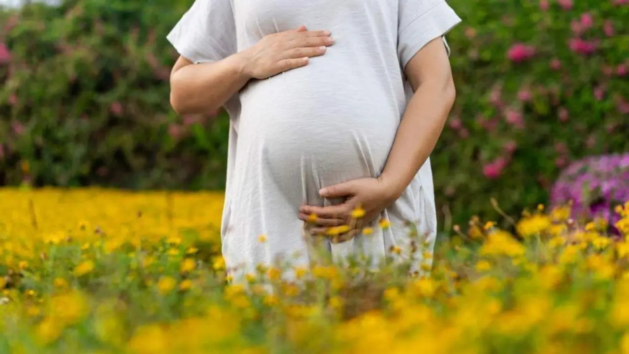 Mujer embarazada. - 123RF/pitinan