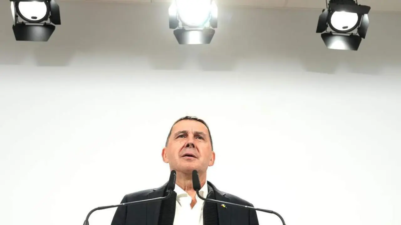 El coordinador general de EH Bildu, Arnaldo Otegi. - Europa Press