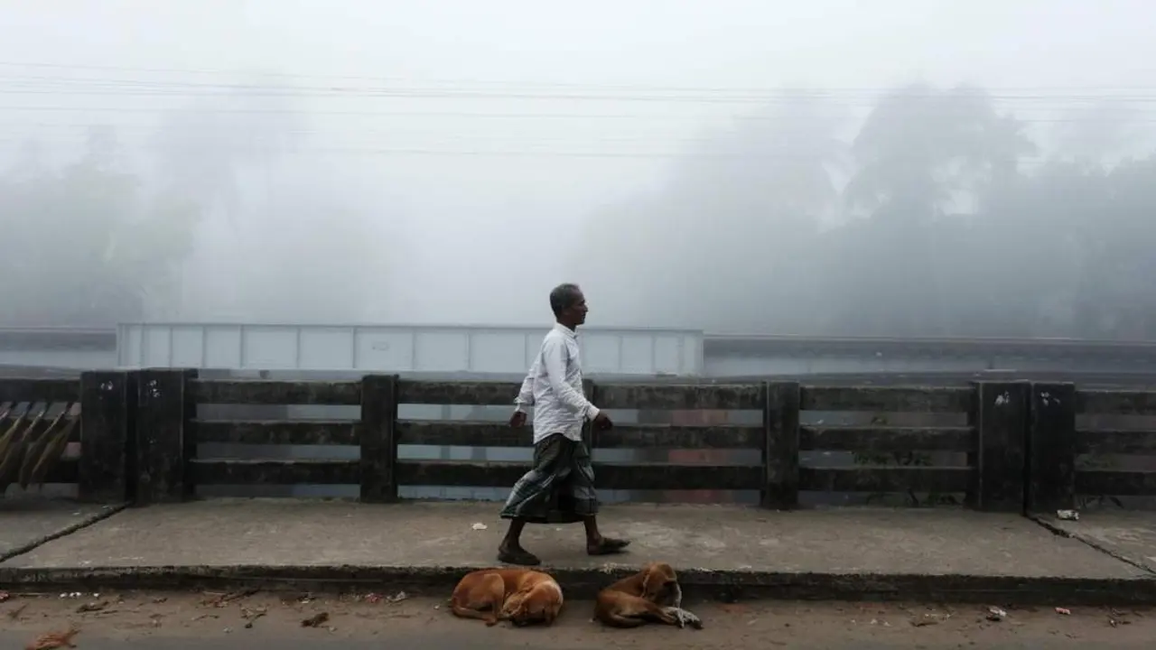 India. | Europa Press.