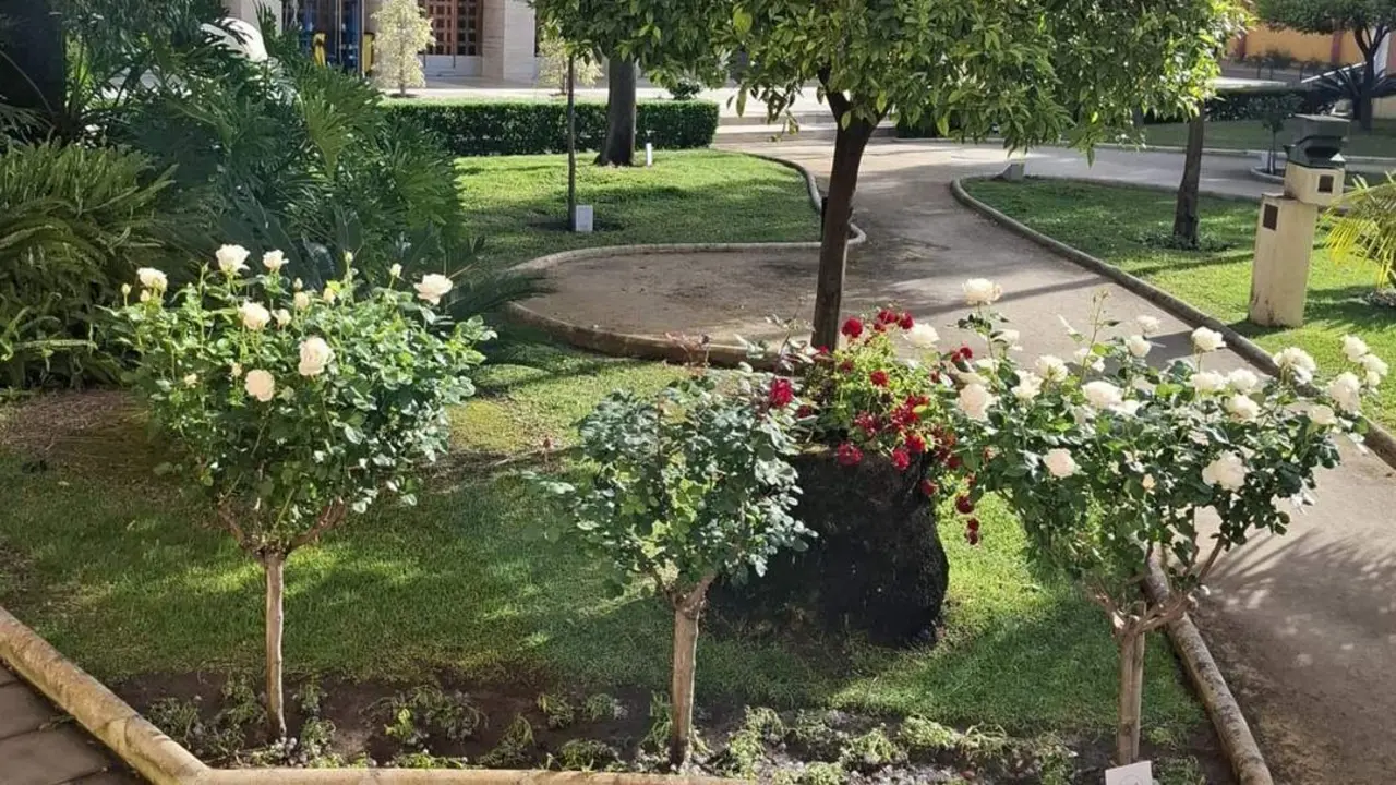 Jardines de la Casa Col&oacute;n. - VH