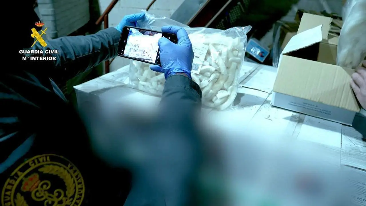 Investigaciones con motivo de la Feria de Abril - GUARDIA CIVIL