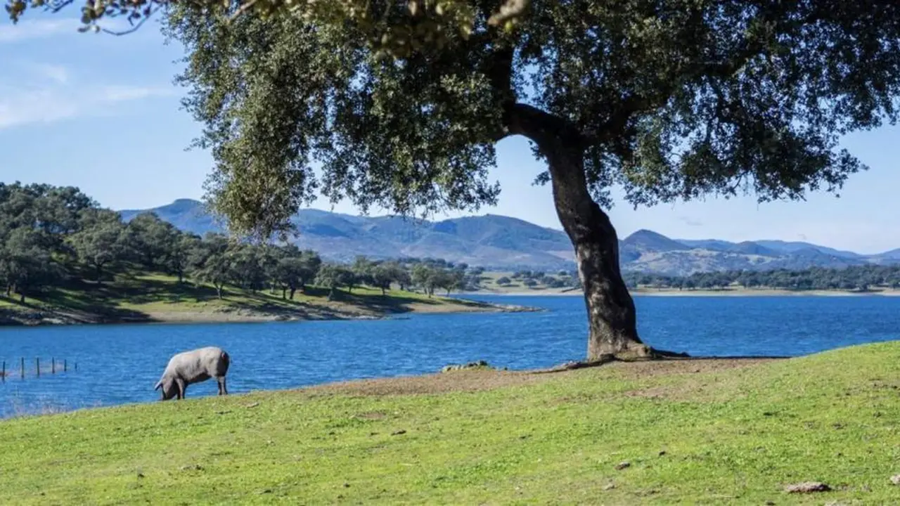Dehesa de Huelva - Diputaci&oacute;n de Huelva