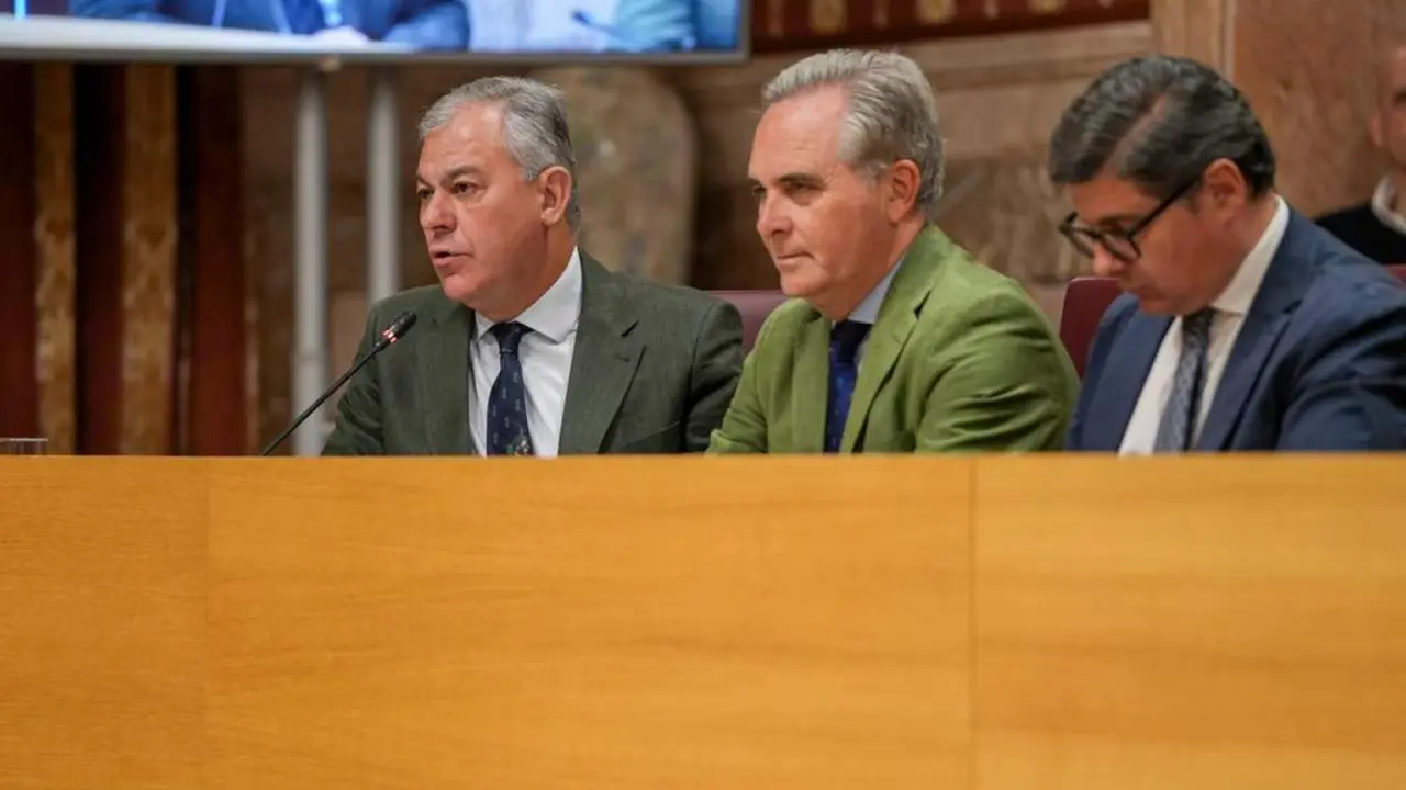 Sanz interviene durante el pleno extraordinario. - Ayto