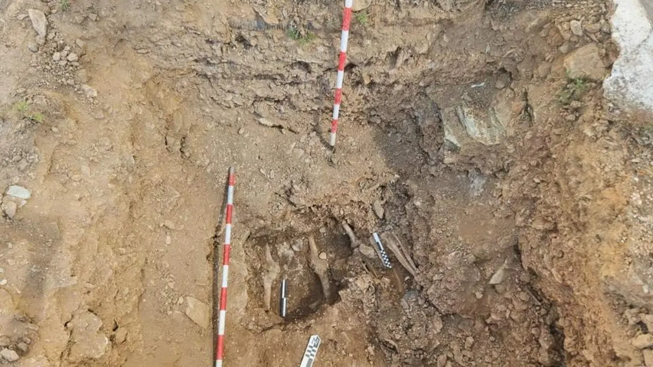 Parte de restos hallados en la fosa del cementerio de Valverde. - VH