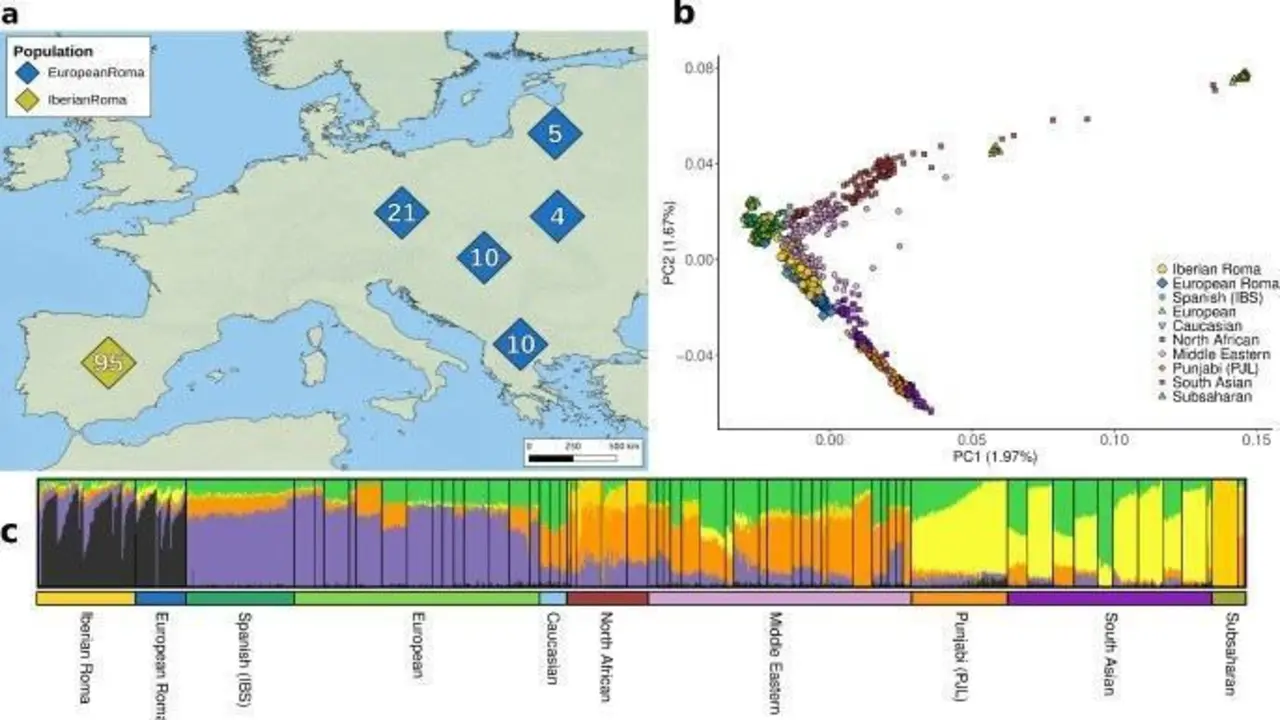 Imagen del art&iacute;culo publicado en 'Human Genetics'. - UPF