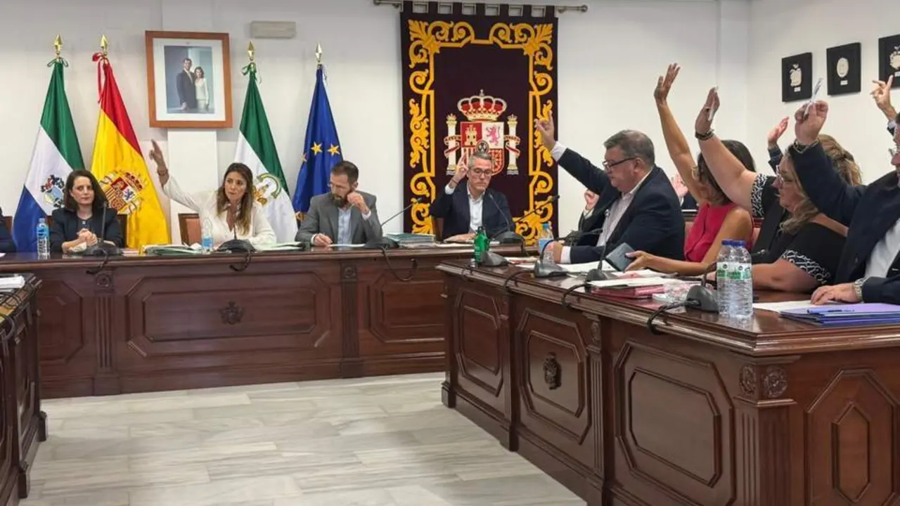 Pleno de mayo. - Ayto. Mijas