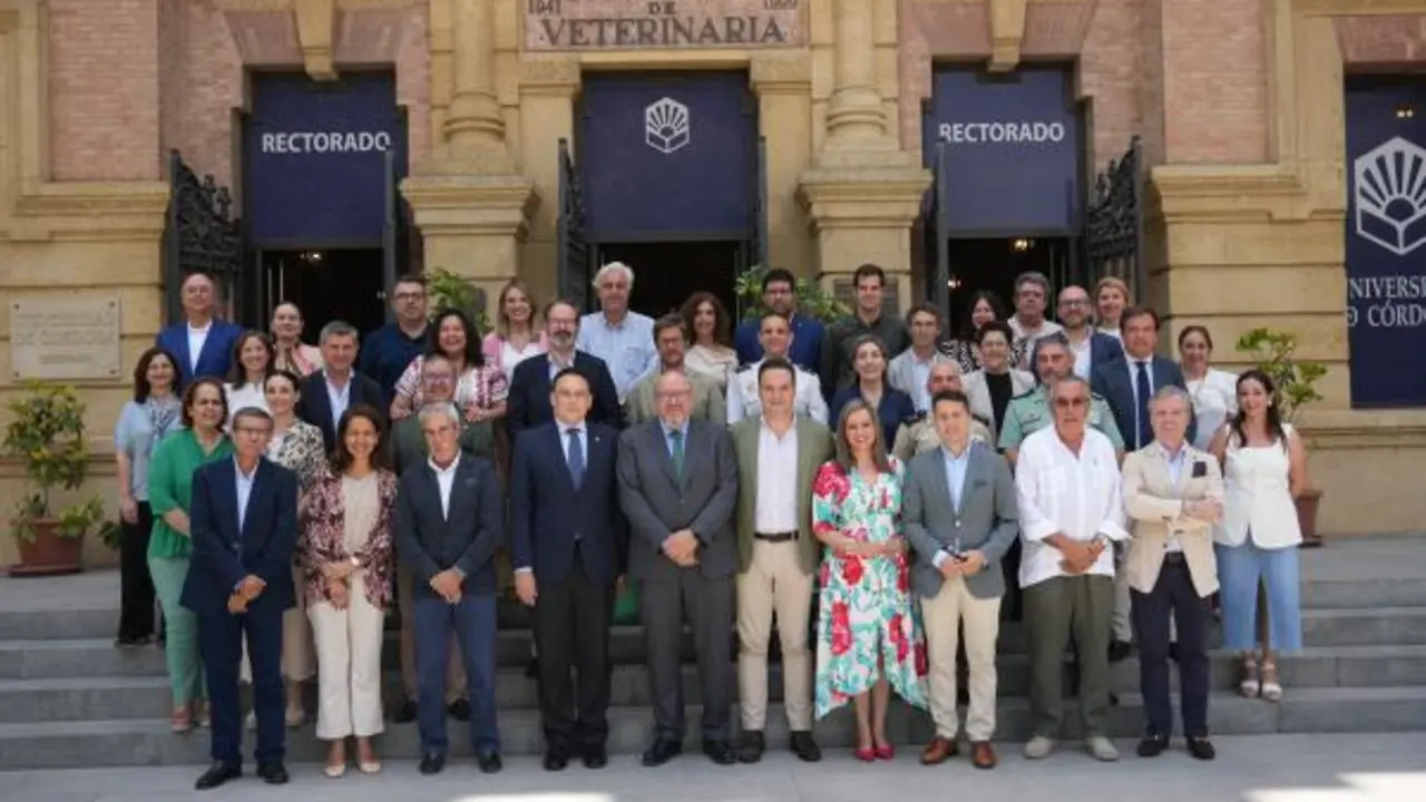 Representantes de los organismos participantes. - AI