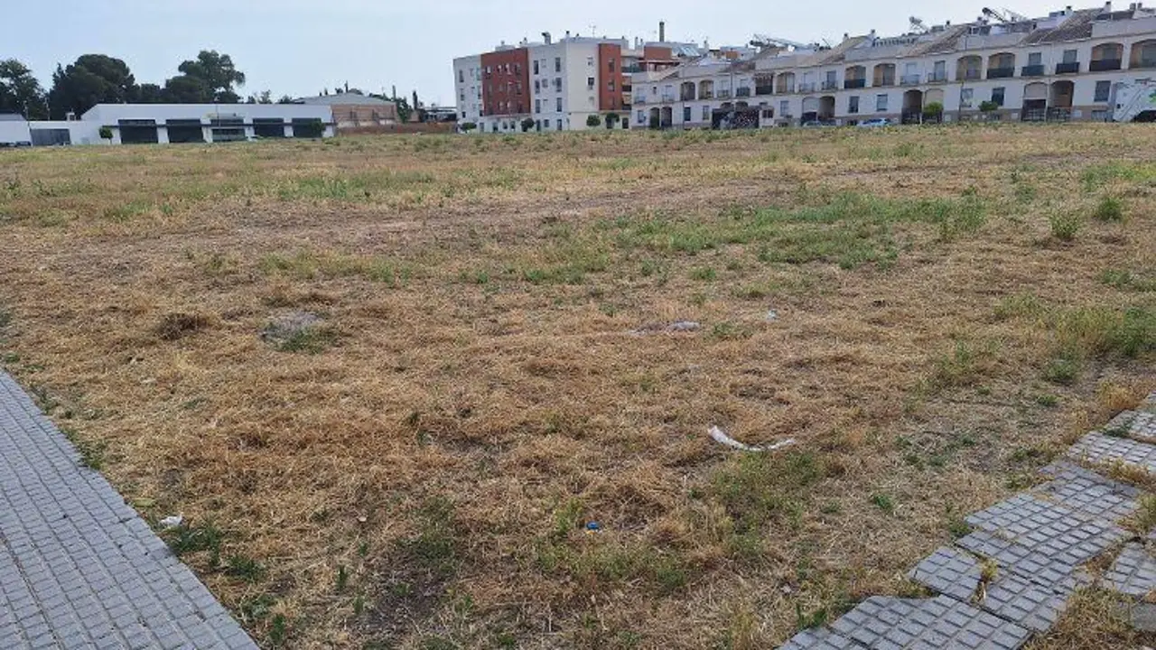 Parcela de La Pitilla donde est&aacute; prevista la piscina. - 