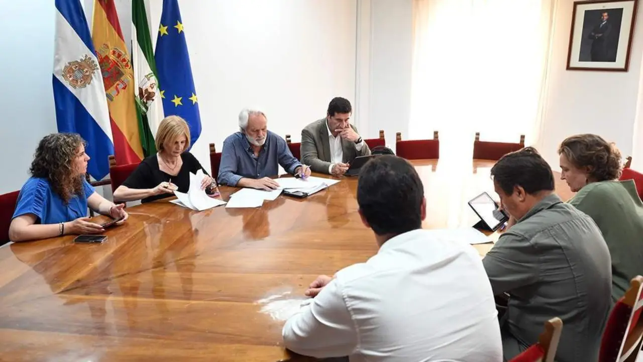 Junta de Gobierno local.  - Andaluc&iacute;a Informaci&oacute;n