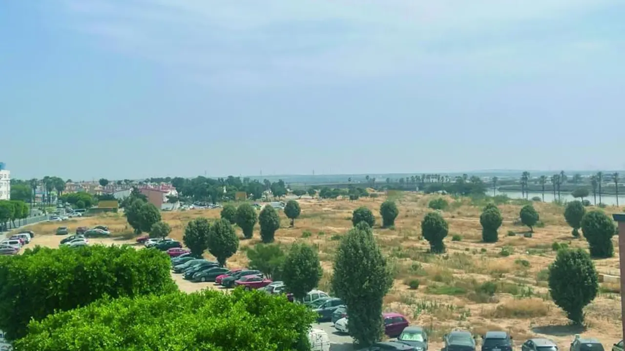 Una imagen de los terrenos de La Magdalena.  - Informaci&oacute;n