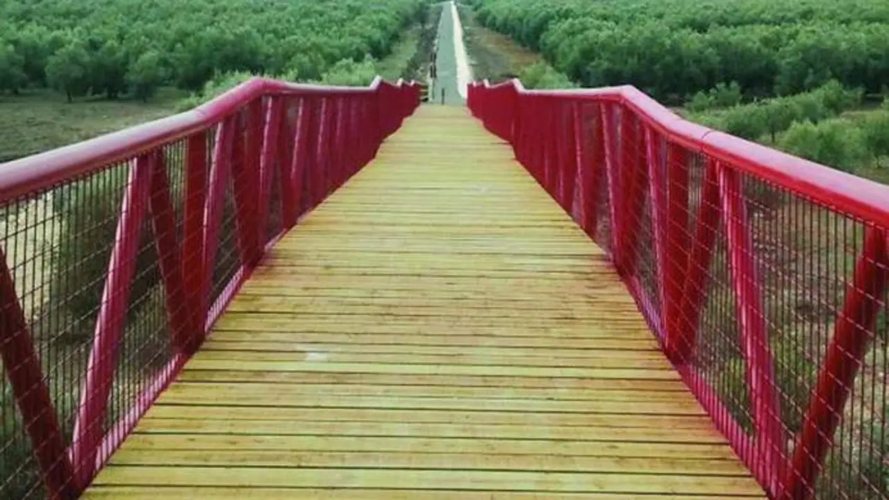 Viaducto de la V&iacute;a Verde del Aceite. - 