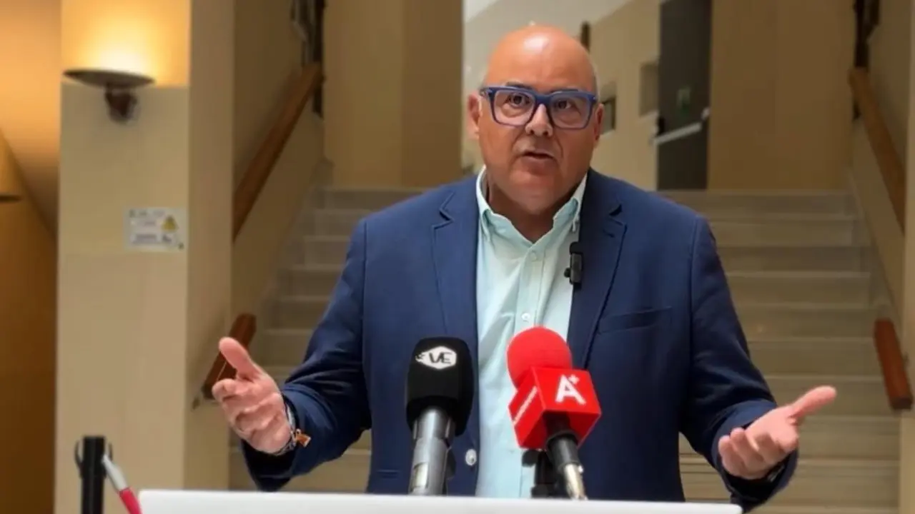 Lupi&aacute;&ntilde;ez, en su intervenci&oacute;n - Ayuntamiento