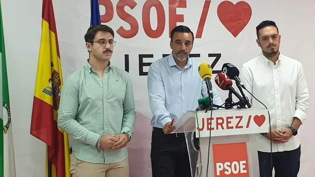 Jos&eacute; Antonio D&iacute;az en rueda de prensa - PSOE