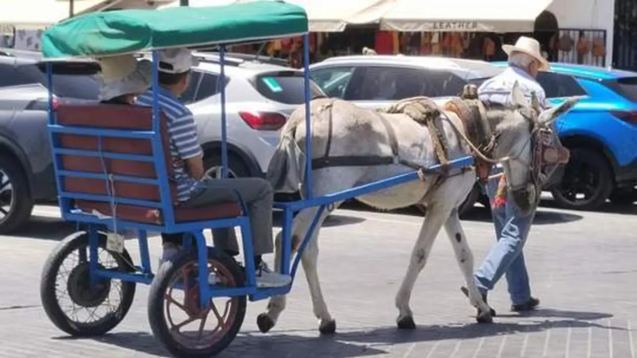 En d&iacute;a de alto calor. - Cedida