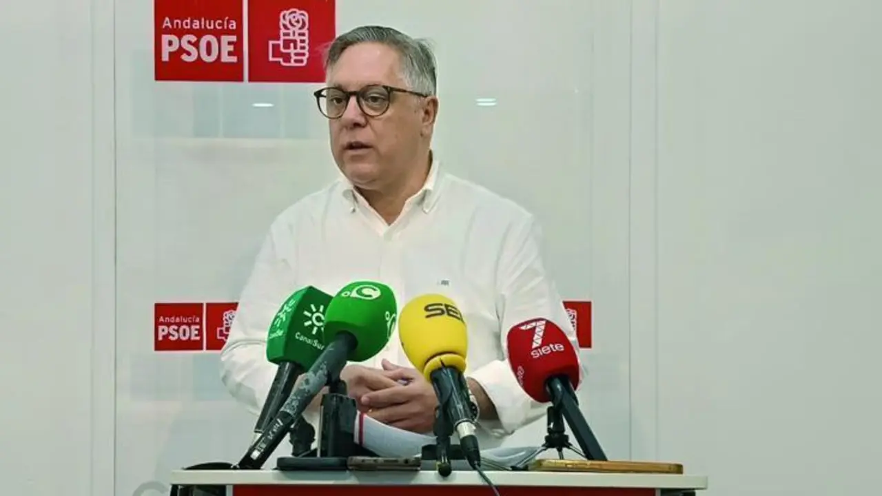 El portavoz municipal del PSOE, &Oacute;scar Torres, en rueda de prensa. - VIVA