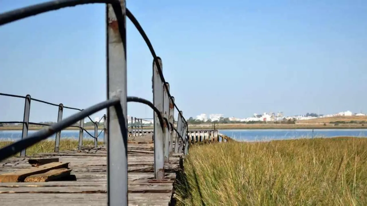 Muelle de la Calzadilla de Palos. - VH