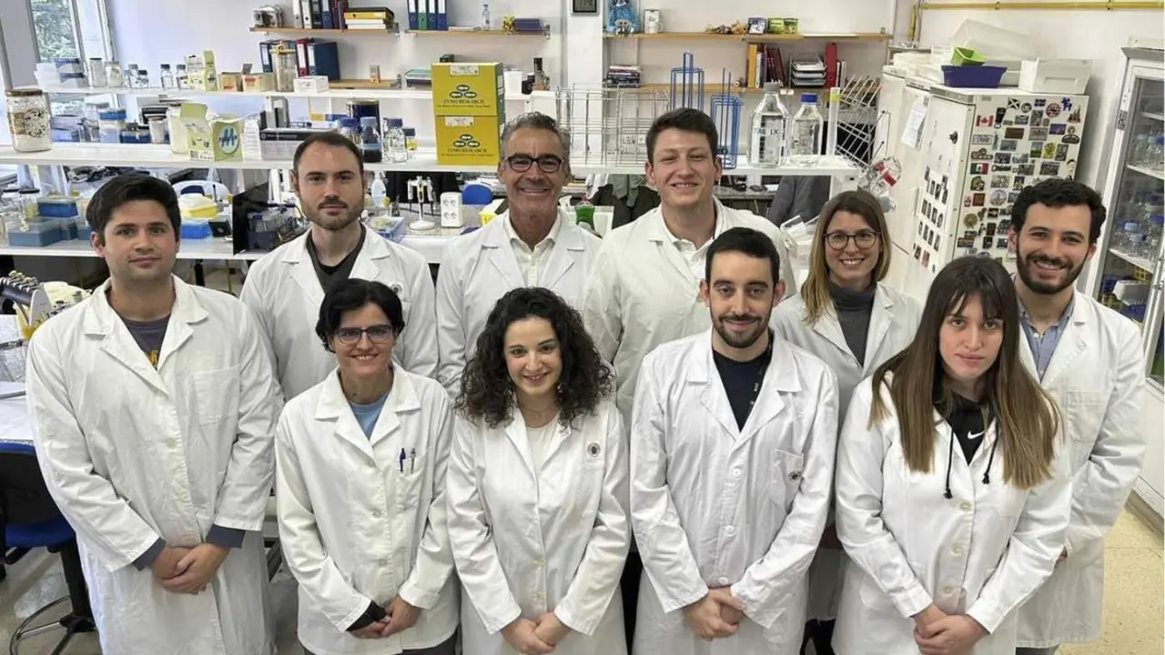 Investigadores de la Universidad Complutense de Madrid. - Europa Press.